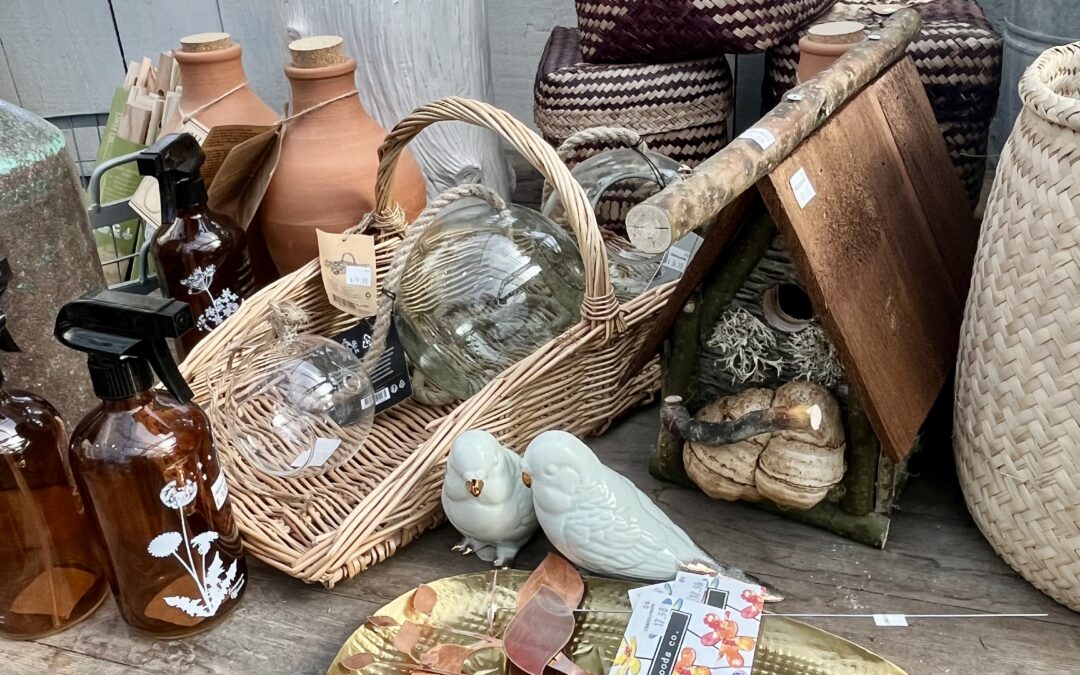 2025 Kitchen & Housewares Trends: Fall/Winter Update