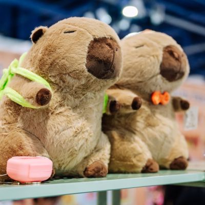 Toys, Plush, and Games